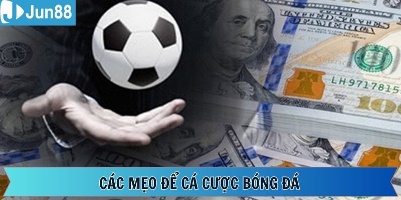 Kinh nghiệm nên áp dụng khi cá cược trên Jun88