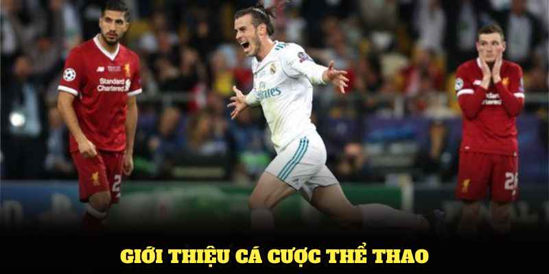 Khám phá những thông tin nổi bật từ sảnh Saba Sports