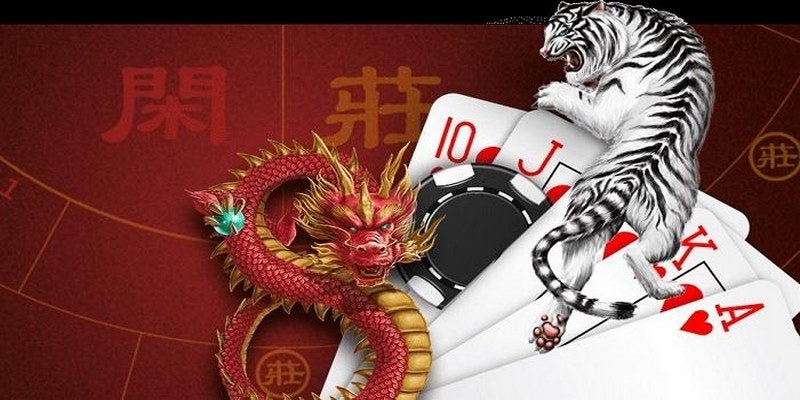 Những kinh nghiệm chơi Rồng Hổ hiệu quả cho tất cả thành viên