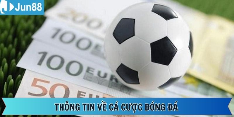 Một vài thông tin cần nắm về cá cược đá bóng Jun88